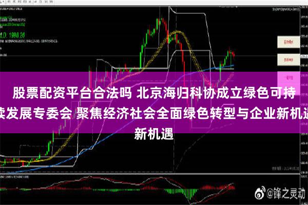 股票配资平台合法吗 北京海归科协成立绿色可持续发展专委会 聚焦经济社会全面绿色转型与企业新机遇