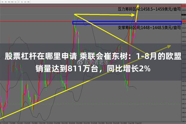 股票杠杆在哪里申请 乘联会崔东树：1-8月的欧盟销量达到811万台，同比增长2%