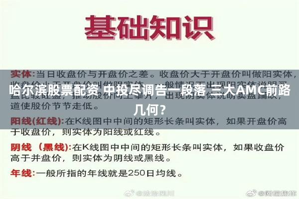 哈尔滨股票配资 中投尽调告一段落 三大AMC前路几何？