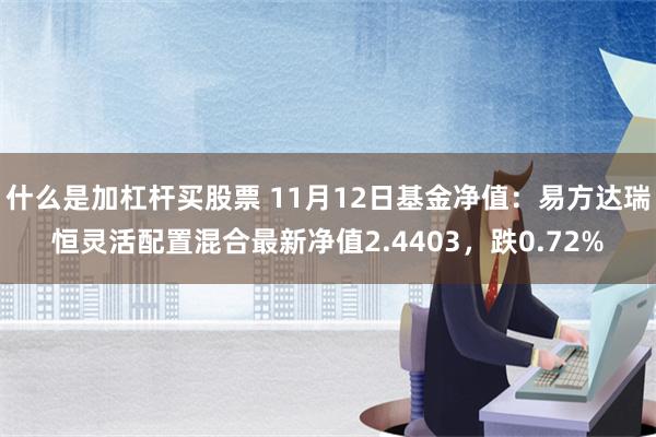 什么是加杠杆买股票 11月12日基金净值：易方达瑞恒灵活配置混合最新净值2.4403，跌0.72%