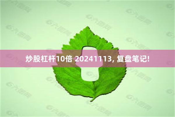 炒股杠杆10倍 20241113, 复盘笔记!