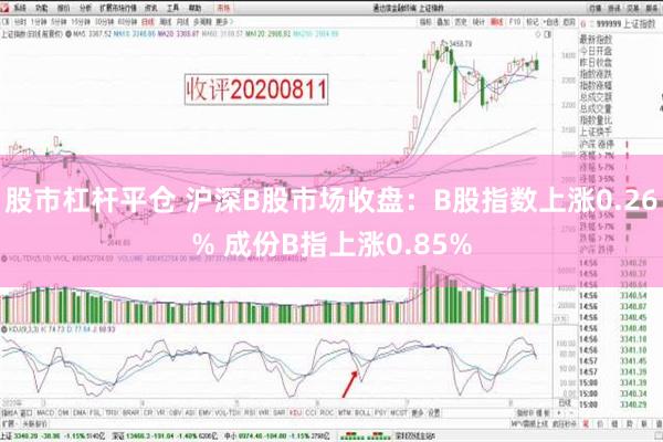 股市杠杆平仓 沪深B股市场收盘：B股指数上涨0.26% 成份B指上涨0.85%